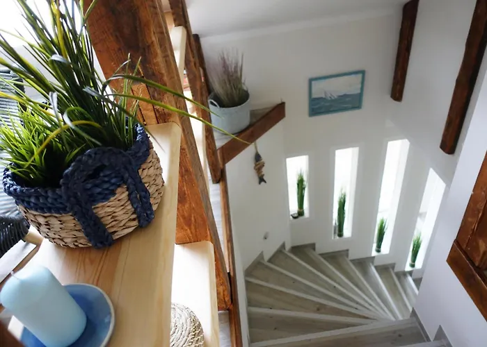 Meer-zeit-og-seepferdchen