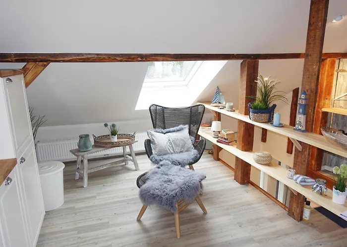 Meer-zeit-og-seepferdchen Kappeln